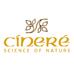 سینره - Cinere